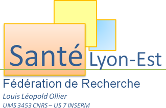 SFR Santé Lyon-Est